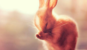 球队联手合作，赢得一场精彩比赛